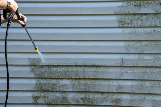 Affordable siding repair and maintenance services in Thomaston, GA